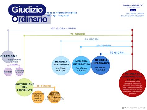 Schema del processo giudiziario per femminicidio