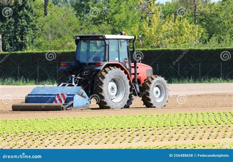 Campo coltivato con trattore in azione, rappresentativo delle scienze agrarie