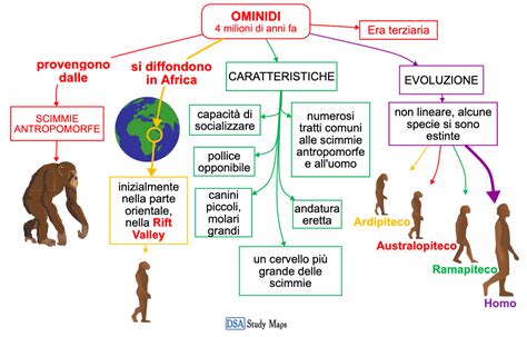 Schema che illustra la separazione evolutiva tra ominidi, genere Homo e Homo sapiens, con indicazione temporale.