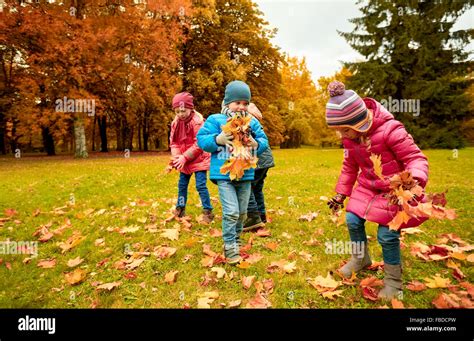 Foto di bambini che raccolgono pigne in un bosco autunnale