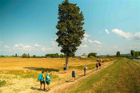 Pellegrini in cammino lungo un tratto della Via Francigena sotto il sole