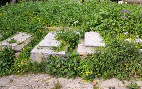 Foto attuale di Villa Eremo, evidenziando lo stato di degrado e la vegetazione infestante