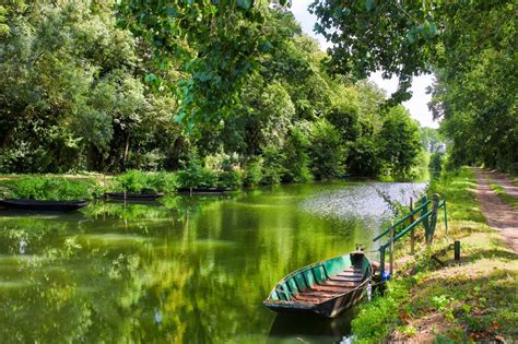 Ciclisti su un percorso panoramico nel Marais Poitevin