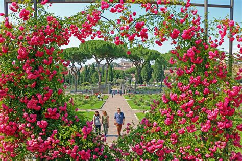 Il Roseto della Porziuncola