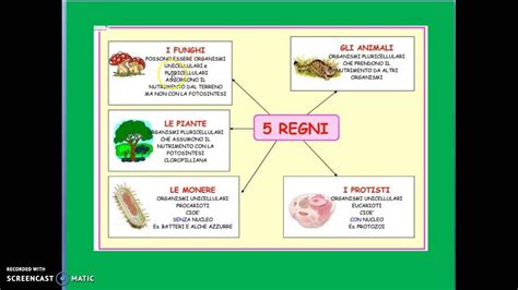 mappa concettuale che illustra il processo di censimento e recupero dei terreni agricoli in Campania