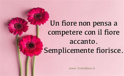 Inforgrafica con citazioni bibliche sui fiori e la fiducia nella provvidenza divina.
