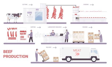 Infografica sul processo di lavorazione delle carni e produzione di salumi