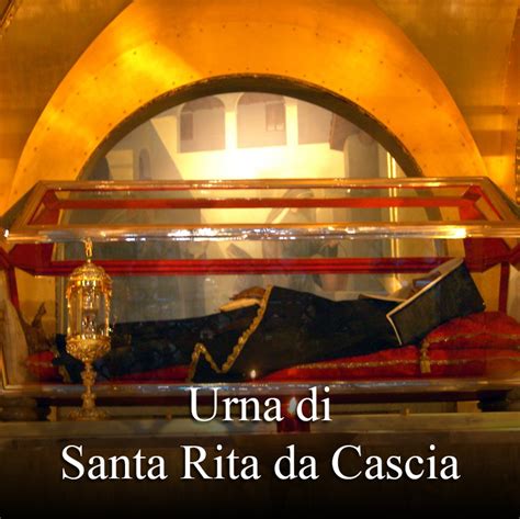 La scala di Sant'Alessio custodita nella teca di vetro all'interno della basilica