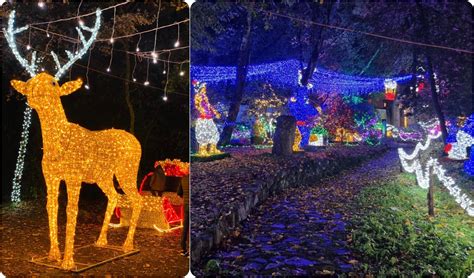 Foto del Parco Lazienki in inverno con luminarie natalizie