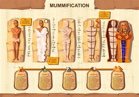illustrazione del processo di mummificazione egizia