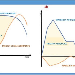 schematica rappresentazione dei componenti dell'anima egizia