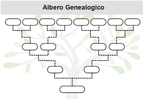 Albero genealogico del nome Evelyn con le sue radici etimologiche e i significati associati