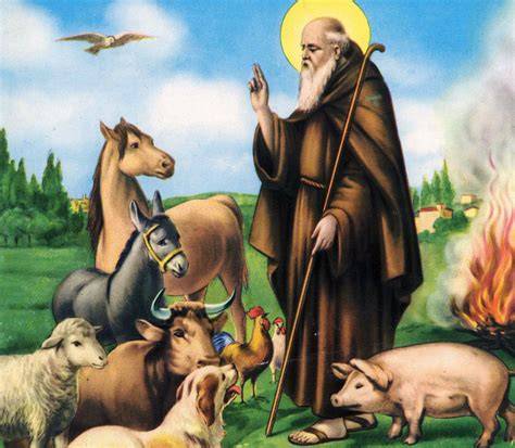 iconografia di Sant'Antonio Abate con il maialino e la fiamma