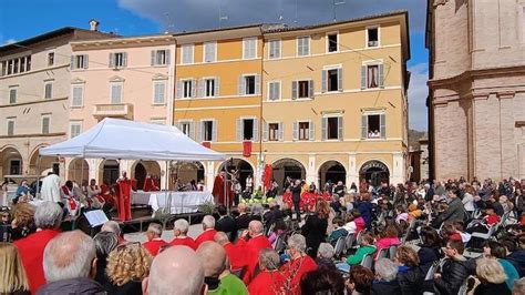 Piazza San Pietro gremita di fedeli per la Domenica delle Palme