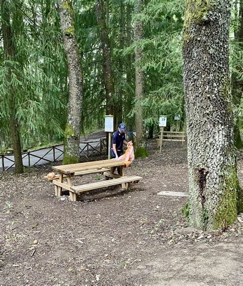 Foto dell'area attrezzata di Savochello con tavoli da picnic