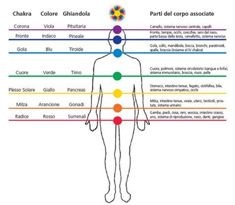 Schema che mostra la relazione tra i chakra e i cristalli