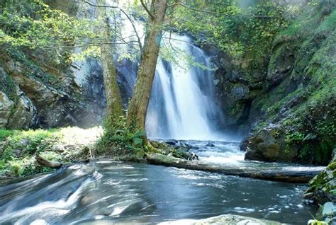 Immagine di un santuario immerso nella natura con sorgenti d'acqua