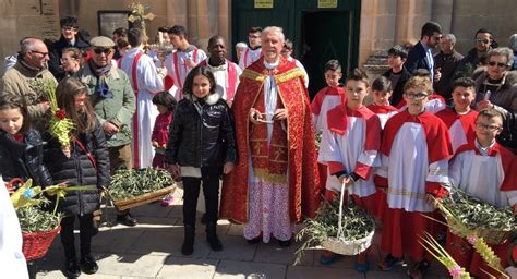 Ramoscelli d'ulivo benedetti e palme in una chiesa
