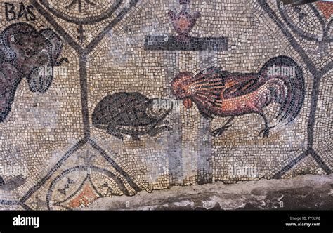 Mosaico paleocristiano nella Basilica di Aquileia