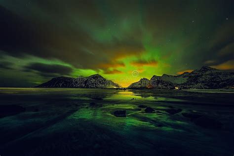 spettacolare aurora boreale verde che illumina il cielo notturno sopra un paesaggio innevato con alberi