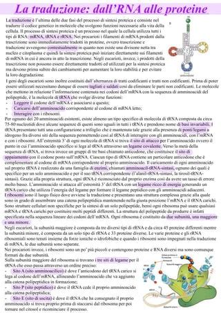 Rappresentazione stilizzata dell'Arcangelo Gabriele con la traduzione del suo nome