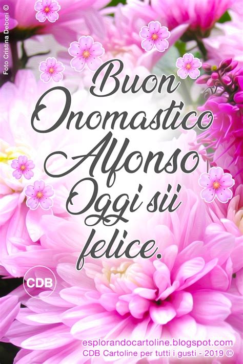 Raccolta di immagini 