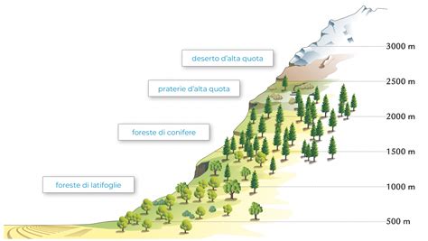 schematizzazione del Discorso della Montagna con enfasi sul versetto 5:17