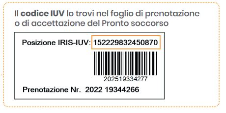 Infografica esplicativa del codice IUV e del processo di pagamento PagoPA