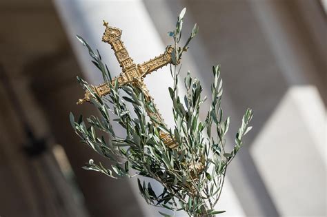 Una campana con un ramo d'ulivo benedetto