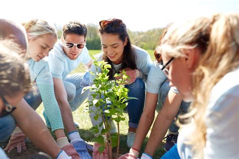 Un gruppo di persone che piantano un albero