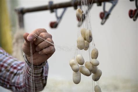 Illustrazione o foto di attrezzi tradizionali per la lavorazione della seta