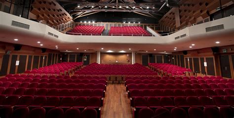 Foto del Teatro Comunale di Monfalcone o immagini stilizzate di spettacolo teatrale