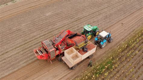 Campo agricolo con macchinari e allevamento, illustrazione delle soluzioni assicurative per l'agricoltura