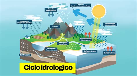 Infografica: Ciclo idrologico e il paragone con la Parola di Dio