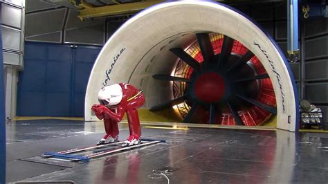 Immagine della galleria del vento con modello 3D di Ibis eremita in fase di test