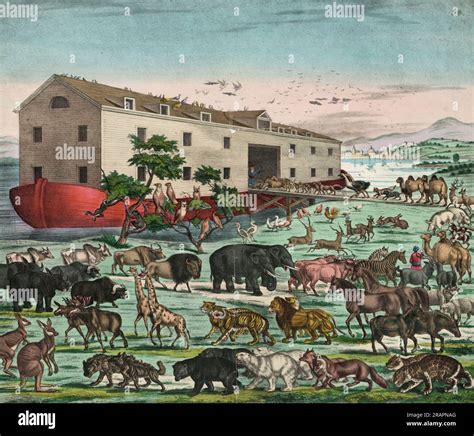 illustrazione raffigurante Noè che costruisce l'arca, con gli animali sullo sfondo