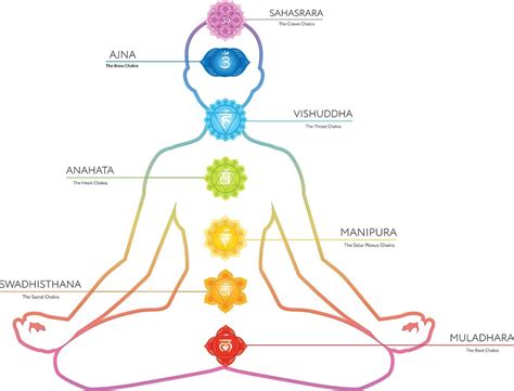 Schema dei chakra e dell'energia Kundalini