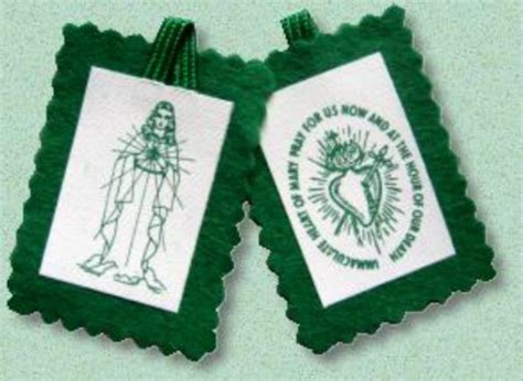 illustrazione di Suor Giustina Bisqueyburu che riceve lo Scapolare Verde dalla Madonna