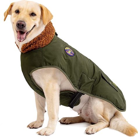 Foto di un cane con un cappotto invernale