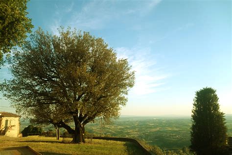 Foto panoramica dal giardino del Leccio di Faltognano