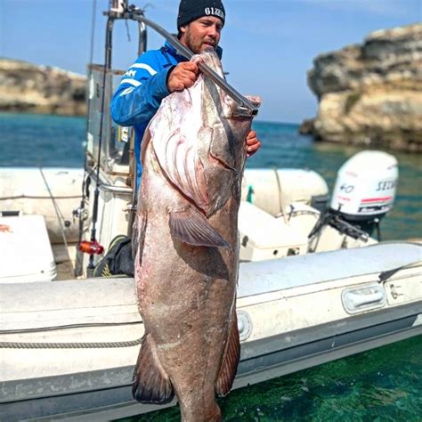 Foto di due pescatori professionisti con una grande cernia appena pescata