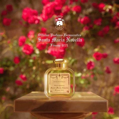Infografica sugli ingredienti naturali tipici dei prodotti Santa Maria Novella