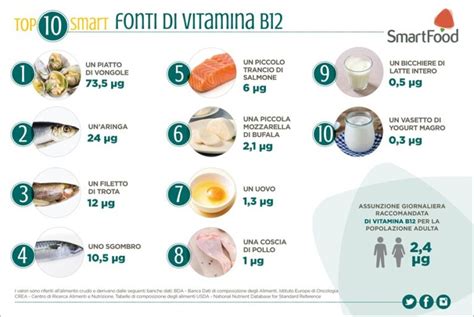 grafico che illustra l'importanza della vitamina B12 e le fonti alimentari