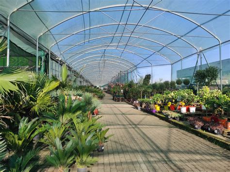 Immagine di un centro giardinaggio o serra con varietà di piante e fiori