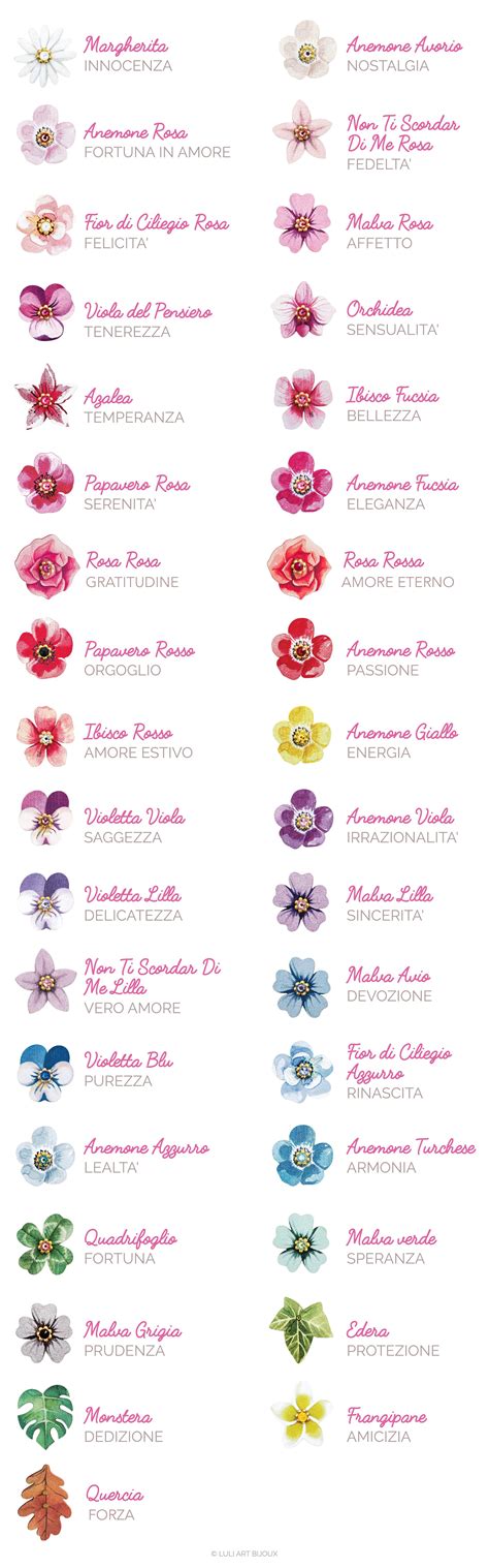 Infografica che illustra i significati dei fiori più comuni per le ricorrenze (rose, gerbere, orchidee, tulipani)