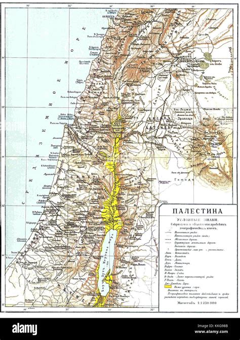 Mappa storica della Palestina incisa in rame, ripiegata