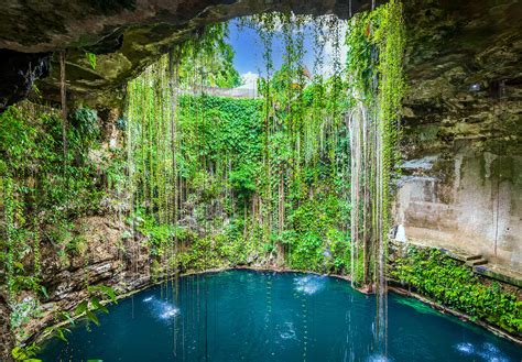 Cenote nella giungla dello Yucatán