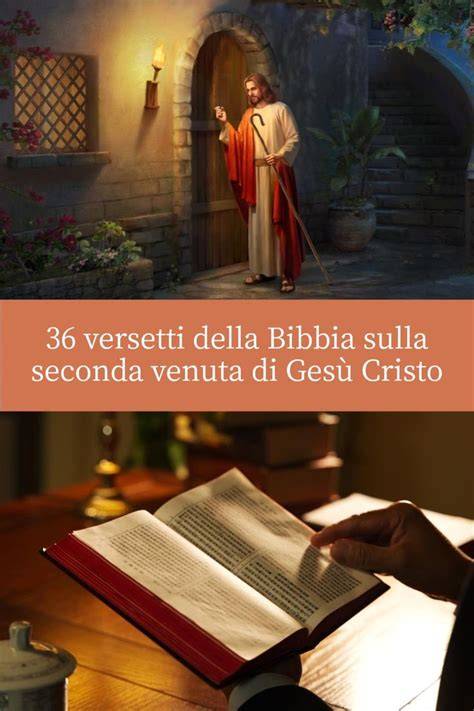 Infografica che mostra i segni della venuta di Cristo secondo il discorso escatologico: falsi cristi, guerre, persecuzioni e diffusione del Vangelo