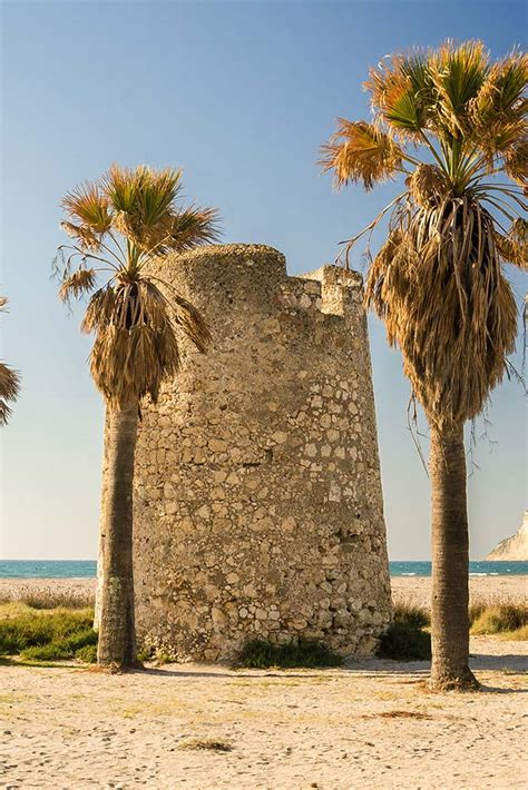 Foto panoramica della Spiaggia Centrale con la Torre Spagnola sullo sfondo e la pineta retrostante.