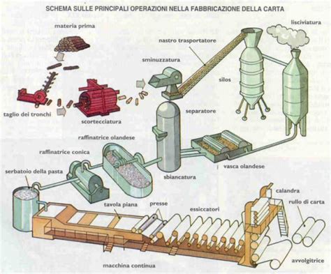 Infografica sul processo di produzione della zama e le sue proprietà